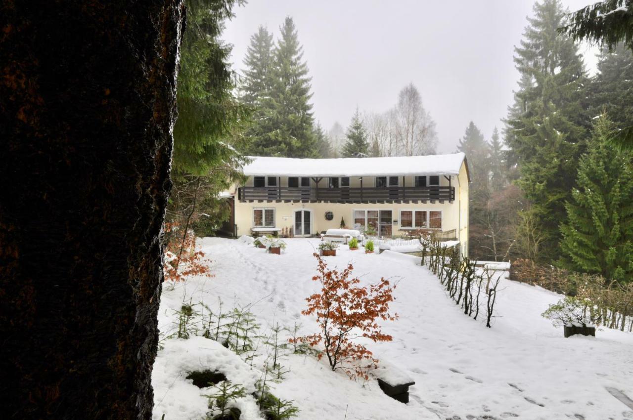 Ferienhaus Hirtenwiese Willingen  Buitenkant foto